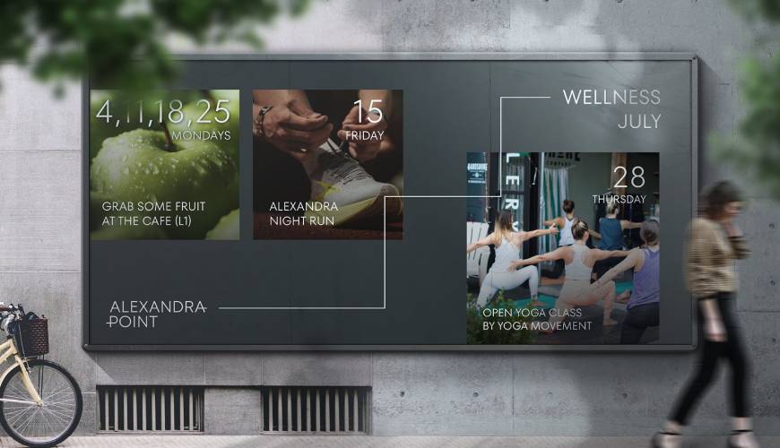 五营区画册设计公司如何进行品牌审核